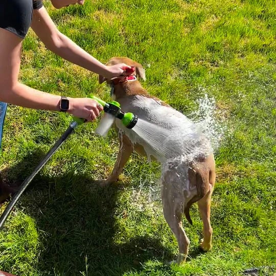 🔥HOT Sale-49% OFF🔥The Pup Jet Garden Watering Jet