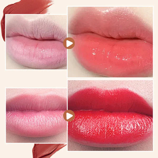 MULTI FUNCTIONAL LONG LASTING COLOR LIPSTICK