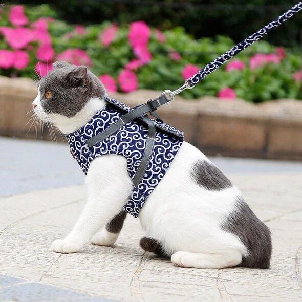 🔥Clearance Sale 48% OFF🔥Cat Dogs Vest Harness and Leash Anti-break Away Chest Strap Cat Clothes