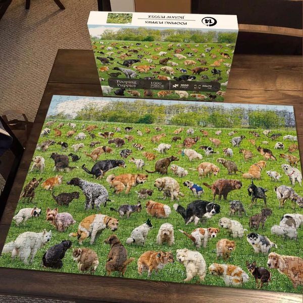 Jigsaw Puzzle 1000 Pieces