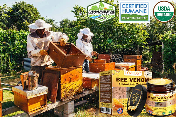 Bee Venom All-in-One Cream US Dermatologist Approved