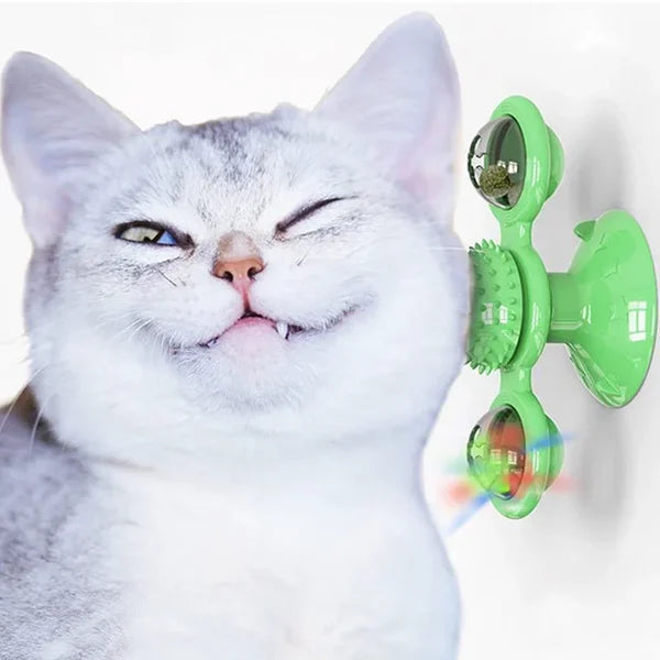 🔥 Interactive Windmill Cat Toys with Catnip🔥