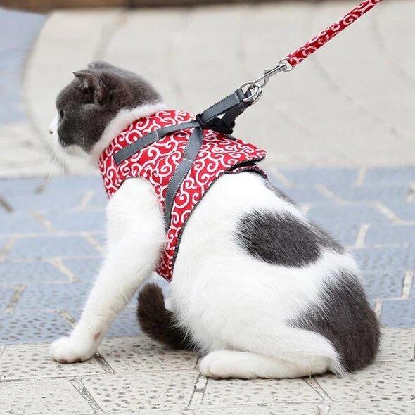 🔥Clearance Sale 48% OFF🔥Cat Dogs Vest Harness and Leash Anti-break Away Chest Strap Cat Clothes