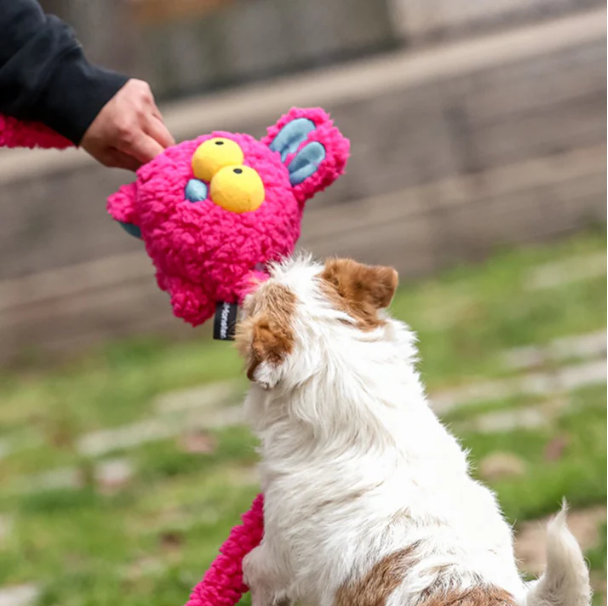 Chew & Squeak Fun