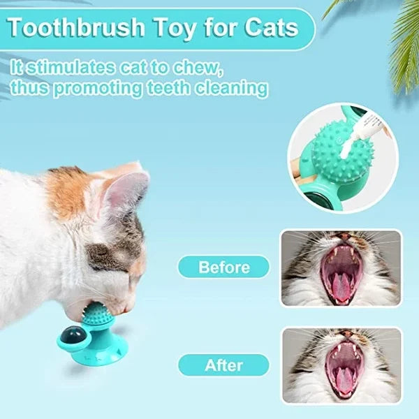 🔥 Interactive Windmill Cat Toys with Catnip🔥