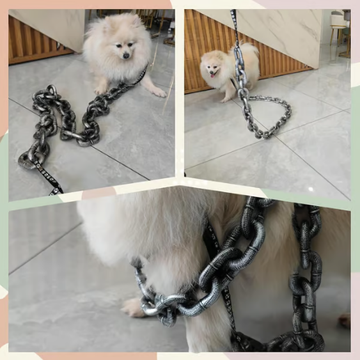 The Chain Paws - 2024 Funniest Pet Chain