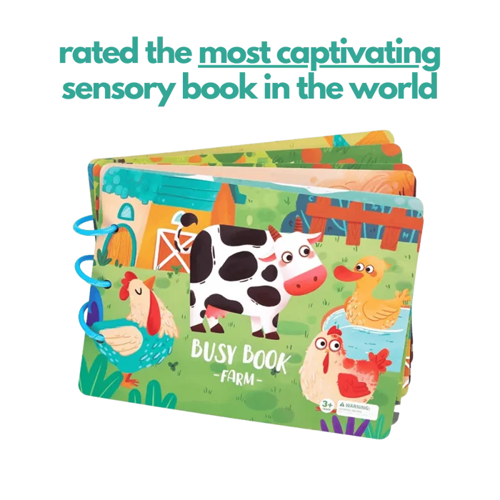 🔥HOT SALE 49% OFF - Sensory Book