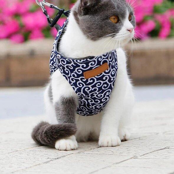 🔥Clearance Sale 48% OFF🔥Cat Dogs Vest Harness and Leash Anti-break Away Chest Strap Cat Clothes