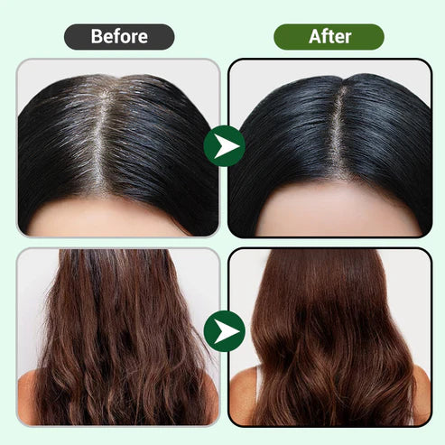 Plant Extract Hair Dye Cream with Comb