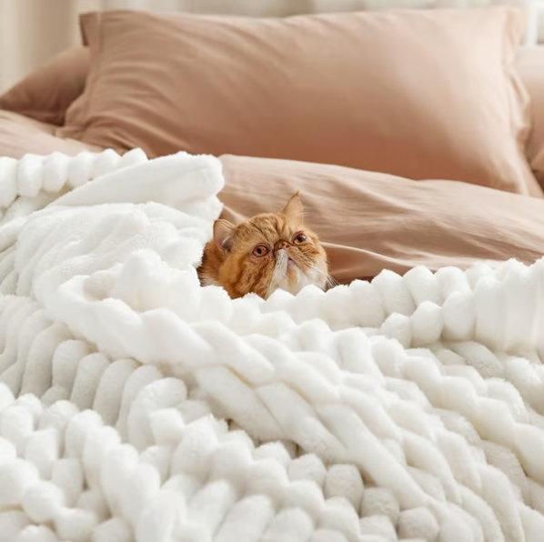 Discover The Ultimate Striped Blanket - A Cozy Companion For Every Season!