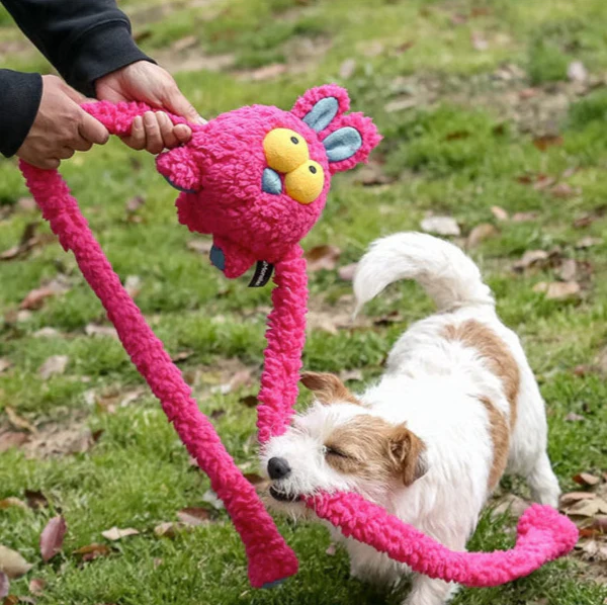 Chew & Squeak Fun