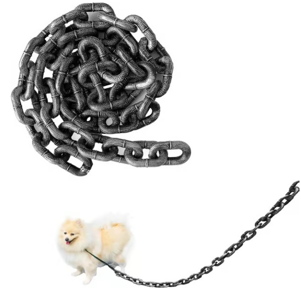 The Chain Paws - 2024 Funniest Pet Chain