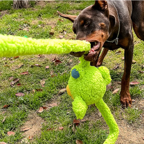 Chew & Squeak Fun