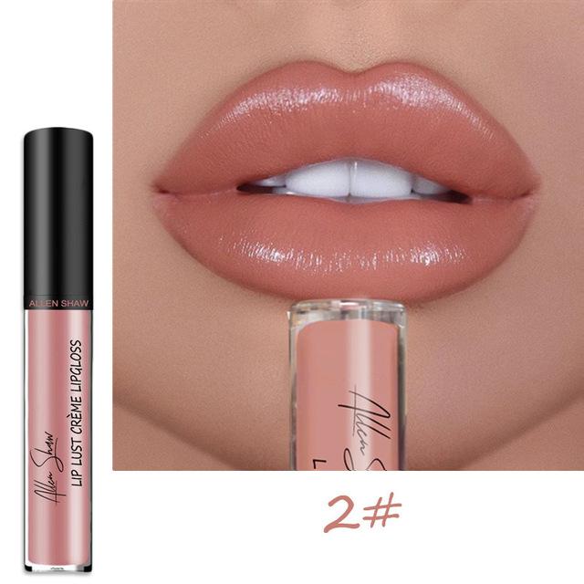 2024 NEW 12 Color Waterproof Long Lasting Moist Lip Gloss Plumper Liquid Lipstick