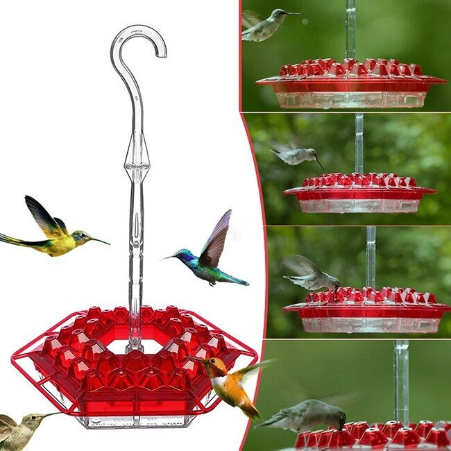 Mary s Hummingbird Feeder With Perch And Built in Ant Moat