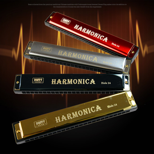 Professional Harmonica In C Key With Case