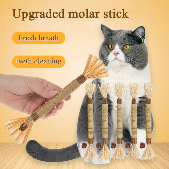 Cat teeth grinding toy