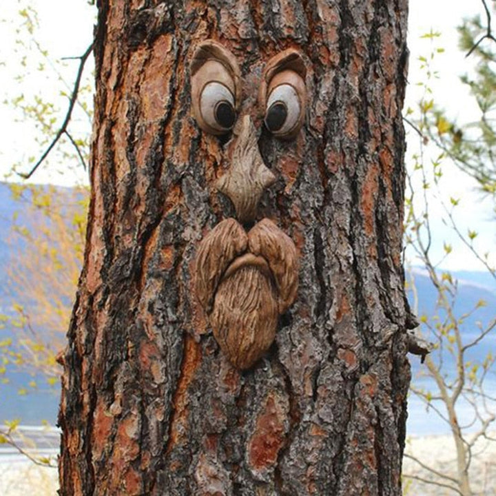 Mr Grumpy Tree Face