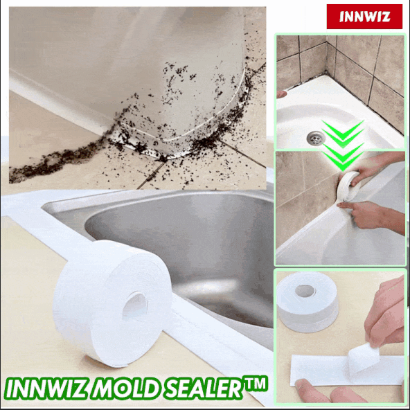 Waterproof and Anti Mold Mold Sealer