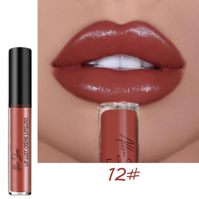 2024 NEW 12 Color Waterproof Long Lasting Moist Lip Gloss Plumper Liquid Lipstick