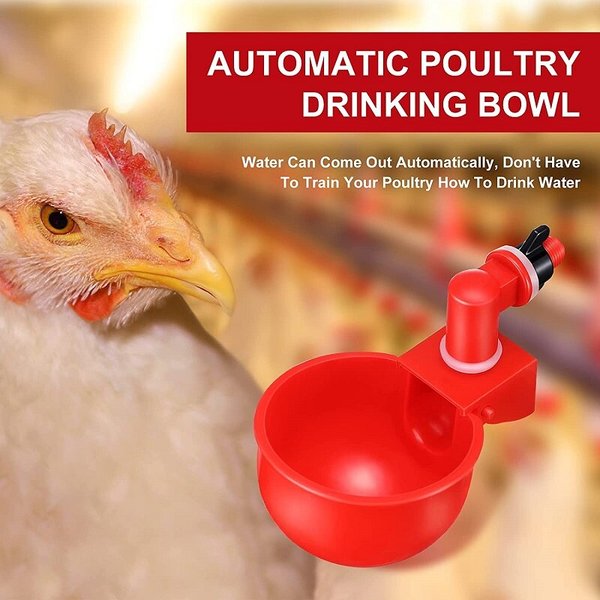 Automatic Chicken Water Cup Waterer Kit for Poultry