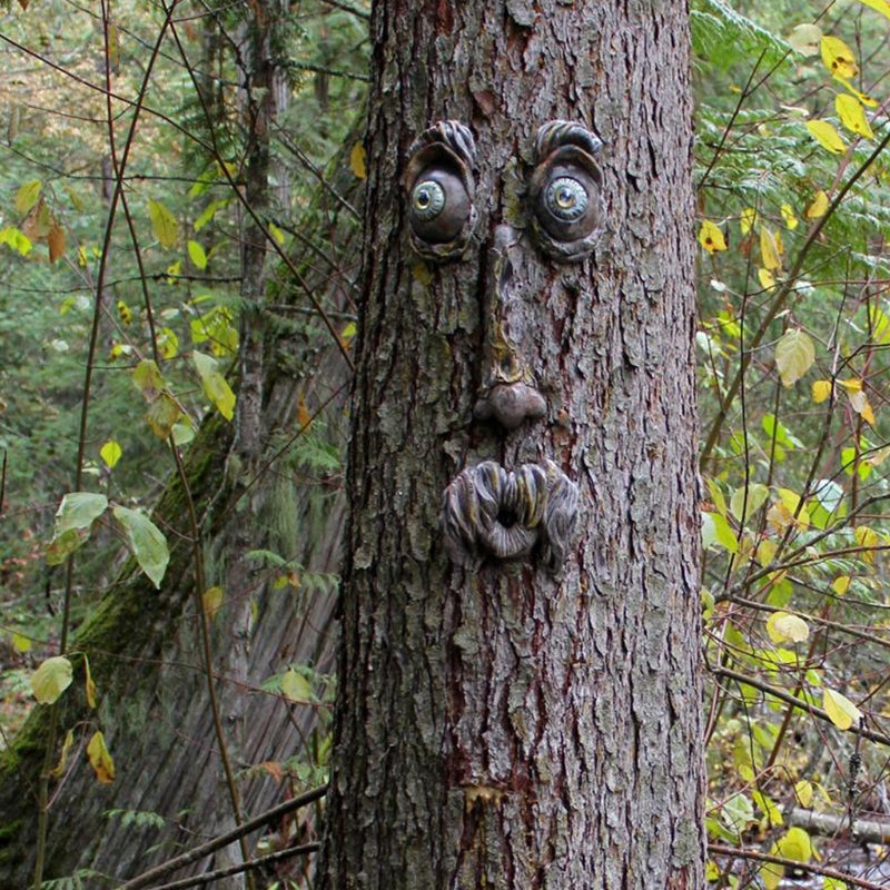 Mr Grumpy Tree Face