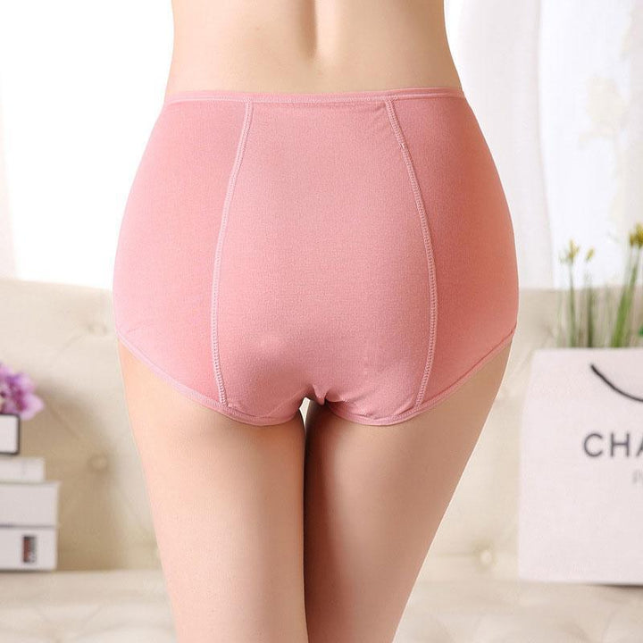 High Waist Period Leakproof Panties