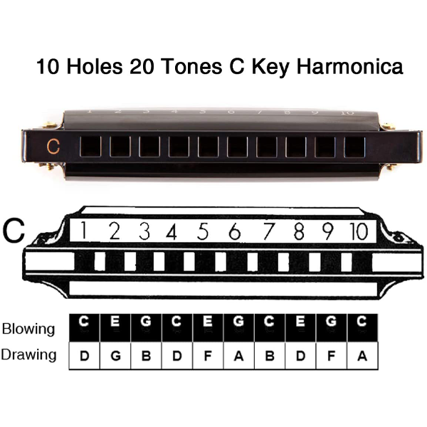 Professional Harmonica In C Key With Case