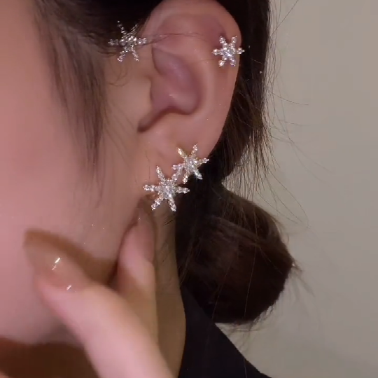 2022 Latest Hot sale Earrings