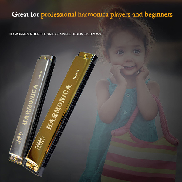 Professional Harmonica In C Key With Case