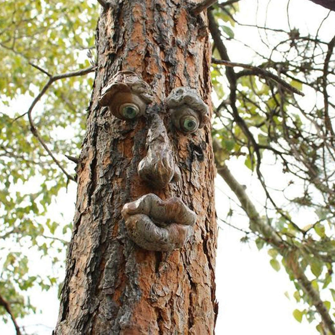 Mr Grumpy Tree Face