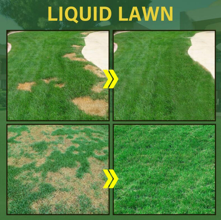 🔥Last Day Save 45% 0FF -🔥Hot Sale Green Grass Lawn Spray-ONLY $9.99!!!