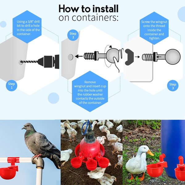 Automatic Chicken Water Cup Waterer Kit for Poultry