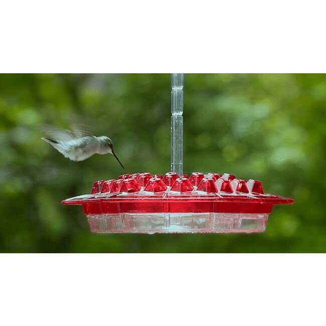 Mary s Hummingbird Feeder With Perch And Built in Ant Moat