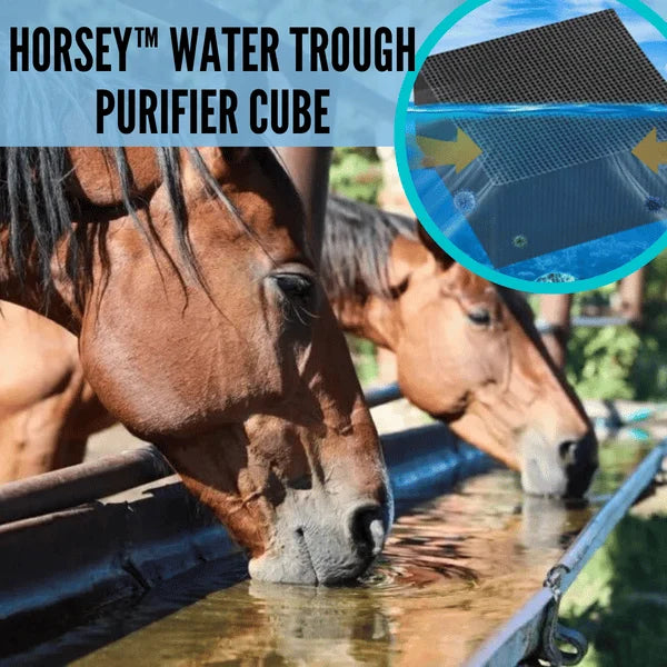 🔥LAST DAY 48% OFF 🔥 Livestock Water Trough Purifier