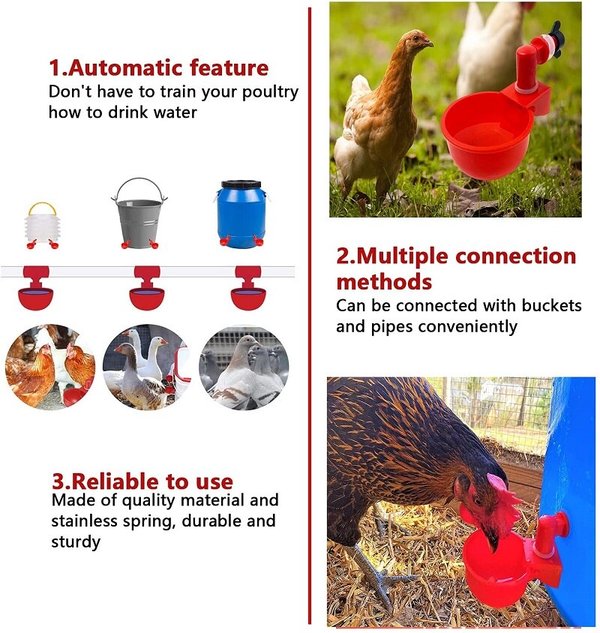 Automatic Chicken Water Cup Waterer Kit for Poultry