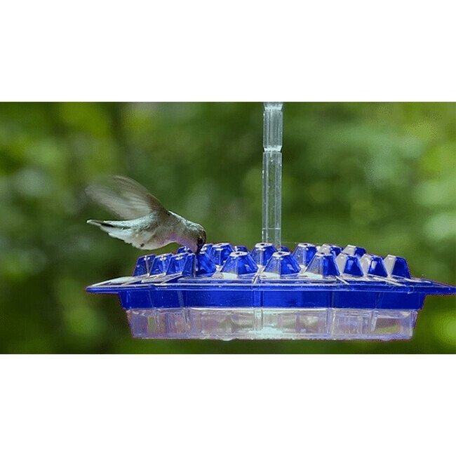 Mary s Hummingbird Feeder With Perch And Built in Ant Moat