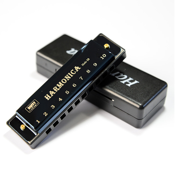 Professional Harmonica In C Key With Case