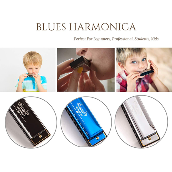 Professional Harmonica In C Key With Case