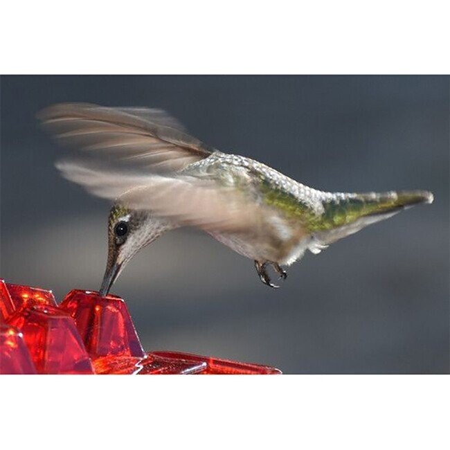 Mary s Hummingbird Feeder With Perch And Built in Ant Moat