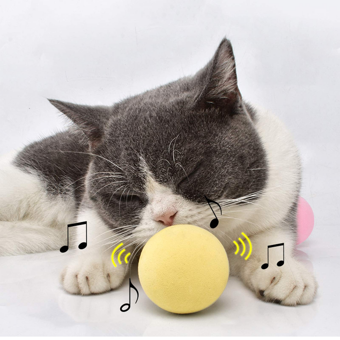 Smart Cat Toys Interactive Ball